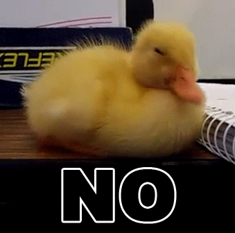 No duckling