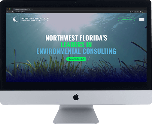 Northern Gulf Environmental website